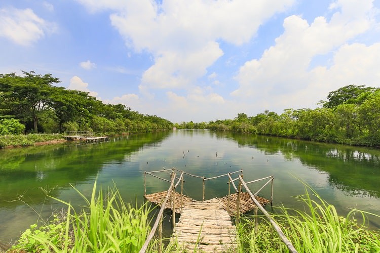 Long An con rồng ẩn m&igrave;nh T&acirc;y Nam Bộ đang trỗi dậy - Ảnh 2.