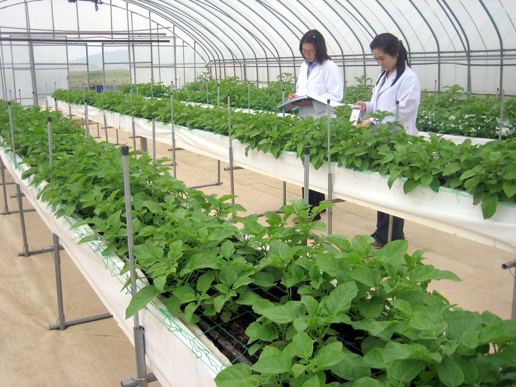Đối tượng n&agrave;o được sang H&agrave;n Quốc l&agrave;m việc ở lĩnh vực n&ocirc;ng nghiệp - Ảnh 2.