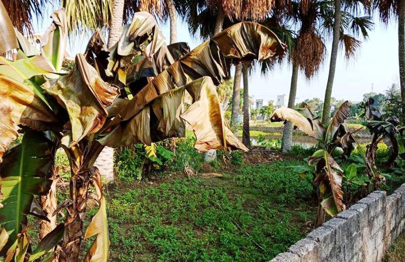 Gần 4.000 lít dầu tràn ra ngoài, dân nháo nhác vì sợ cháy nổ - Ảnh 3.