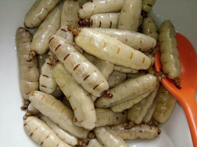 Chị em l&ugrave;ng mua thần dược tăng sinh lực cho chồng - Ảnh 1.
