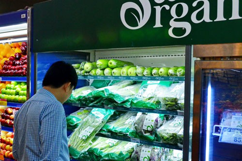 Đầu tư hữu cơ không thể ẩu