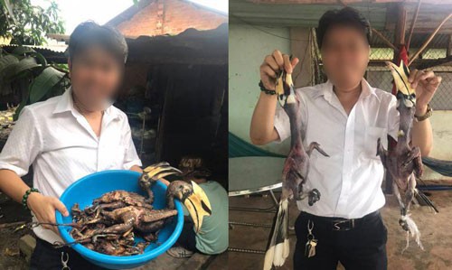 Tàn ác với thiên nhiên