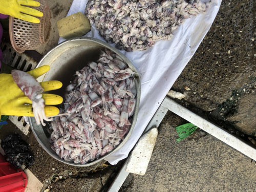 Thực phẩm bẩn tuồn về chợ công nhân