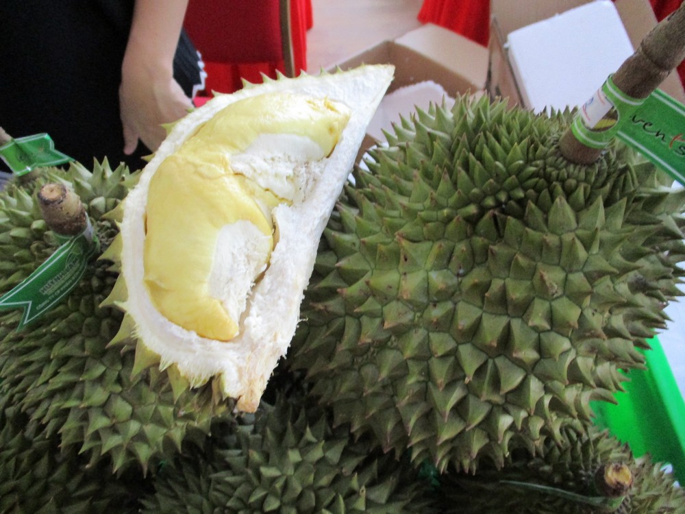 Tin vui: Sầu riêng và khoai lang được xuất khẩu sang Trung Quốc