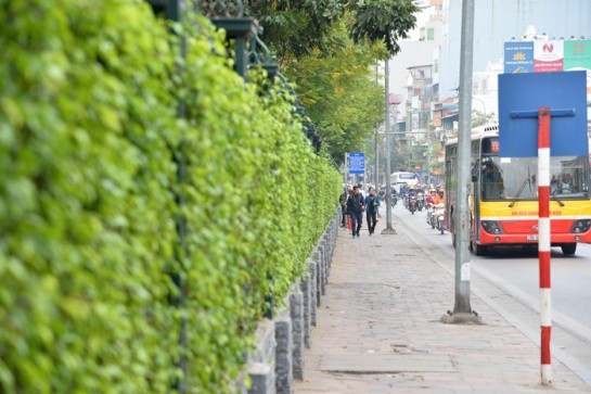 Câu chuyện vỉa hè