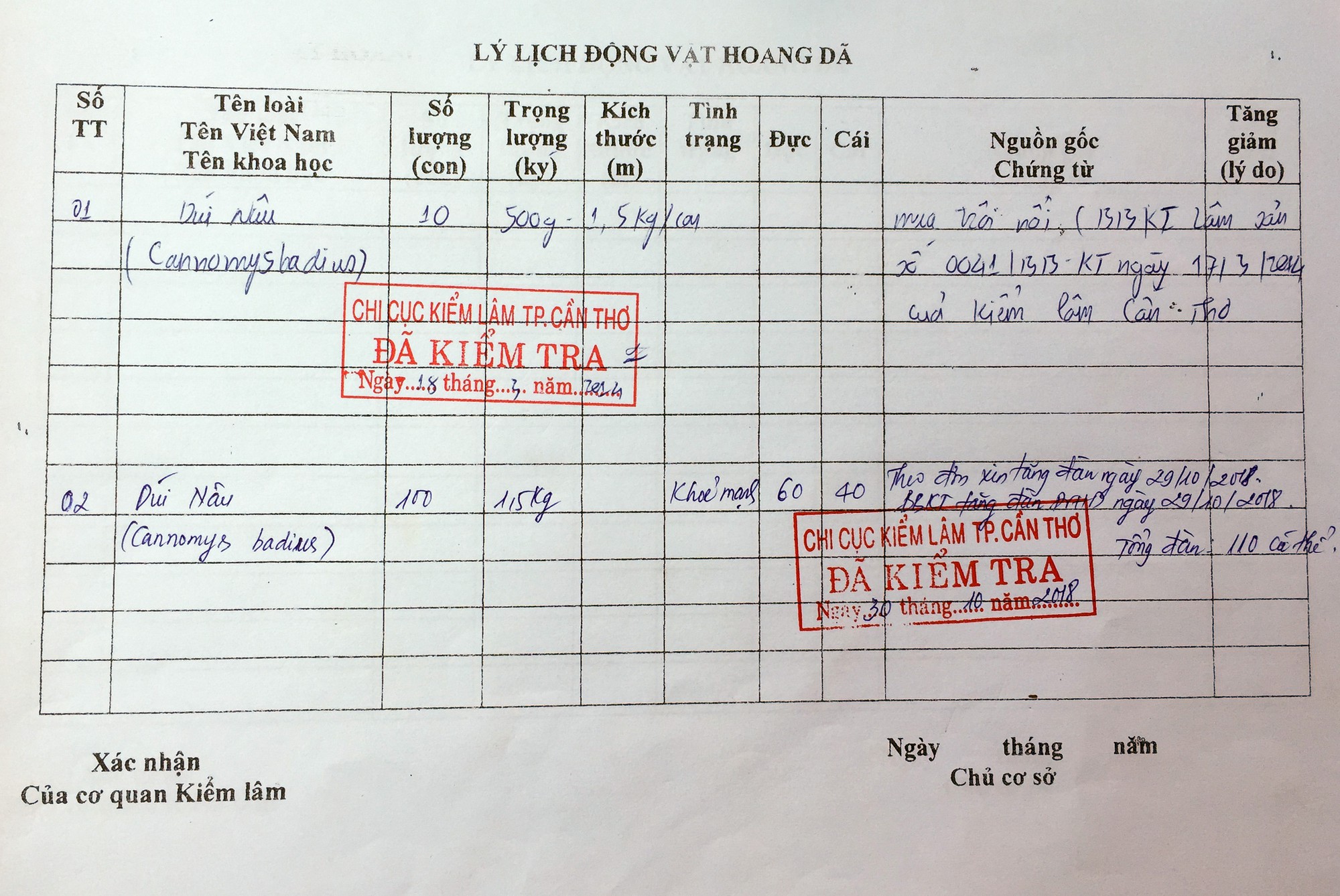 Lấy tre nuôi dúi, “bỏ túi” 30 triệu đồng/tháng - Ảnh 8.