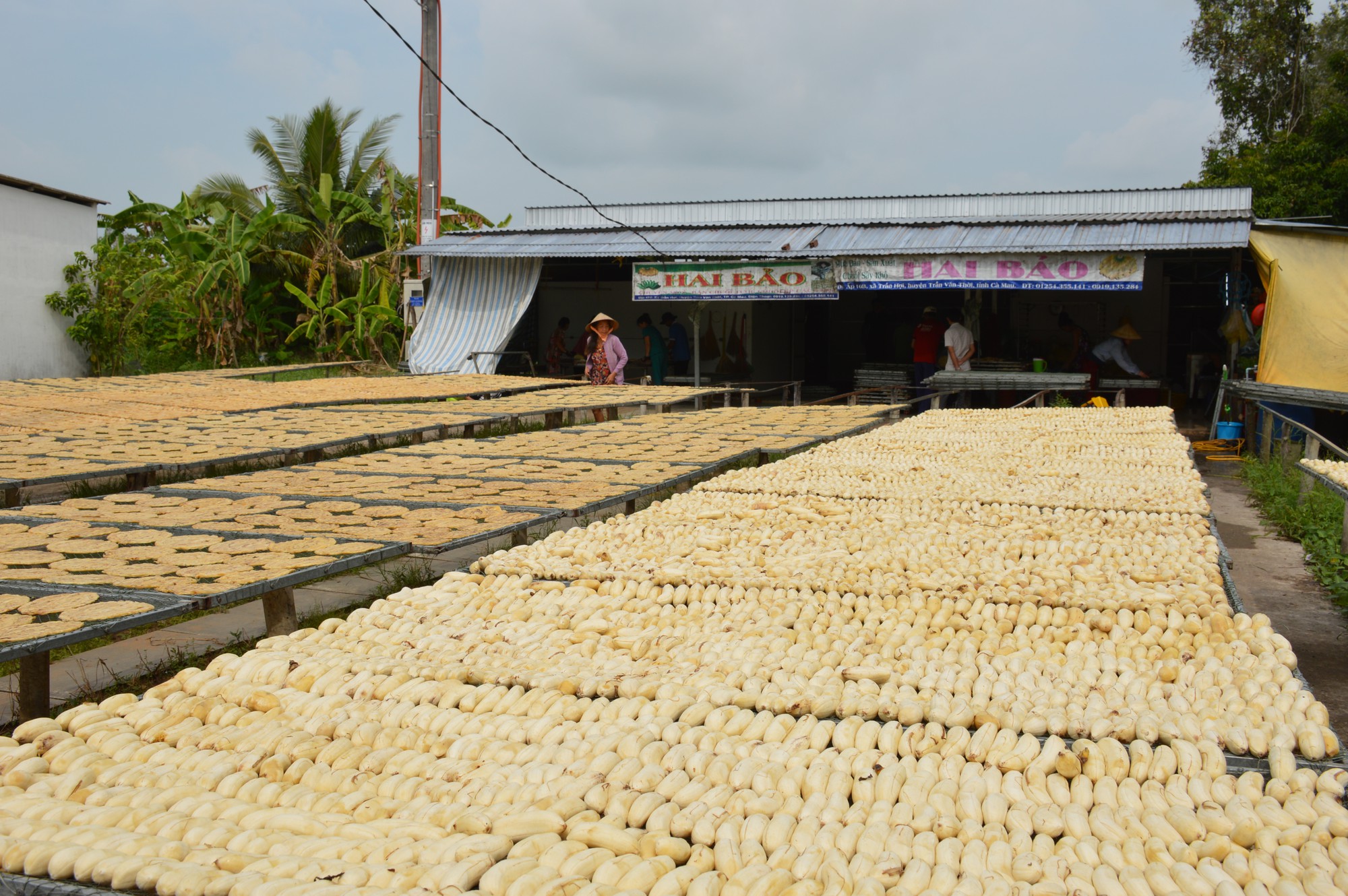 B&iacute; quyết thơm ngon của l&agrave;ng chuối kh&ocirc; 100 năm tuổi ở C&agrave; Mau  - Ảnh 4.