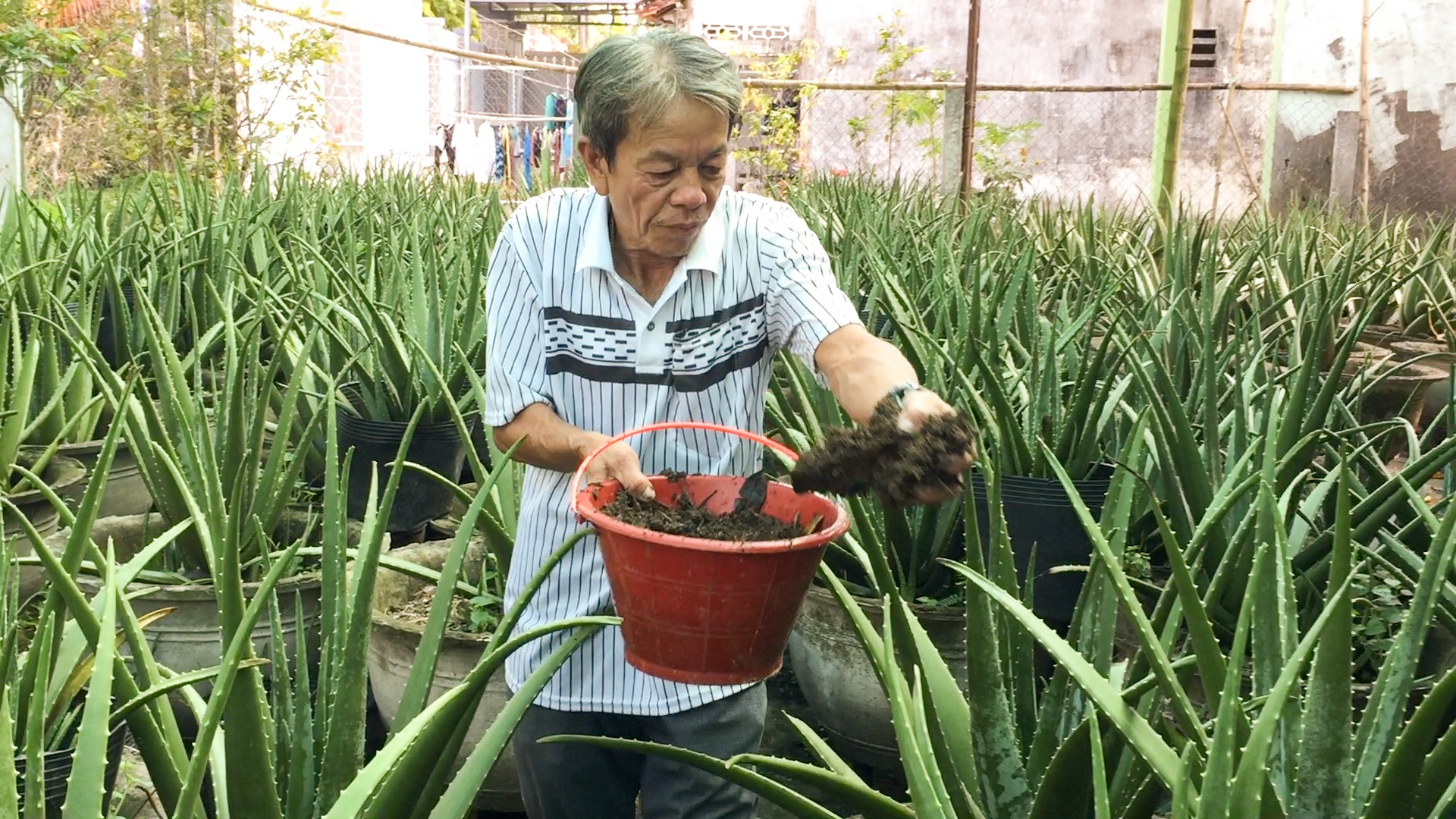 Lấy tre nuôi dúi, “bỏ túi” 30 triệu đồng/tháng - Ảnh 9.