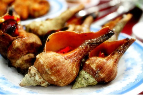 Điều đặc biệt ở ốc đỏ, nổi tiếng vùng biển phía Nam - Ảnh 3.