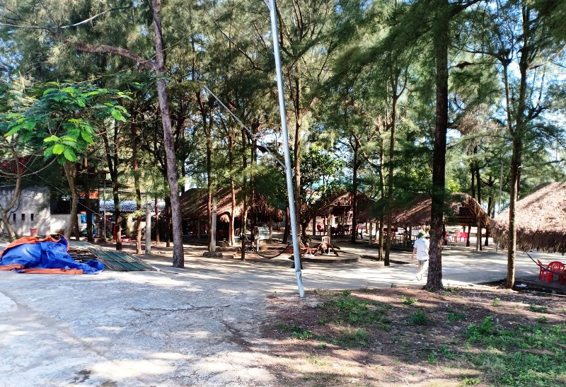 Cận cảnh những c&aacute;nh rừng ph&ograve;ng hộ ven biển Thanh H&oacute;a bị &ldquo;x&oacute;a sổ&rdquo; sau 1 quyết định - Ảnh 4.