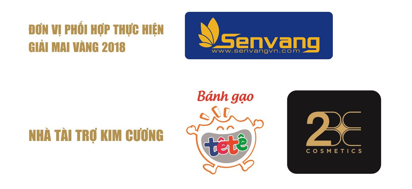 Bầu chọn Giải Mai Vàng 2018: MC - Những nghệ sĩ đa tài - Ảnh 7.