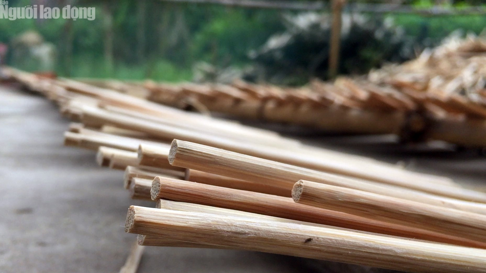 B&iacute; quyết bảo vệ sức khỏe người d&ugrave;ng của x&oacute;m đũa tre sạch ở miền T&acirc;y - Ảnh 4.