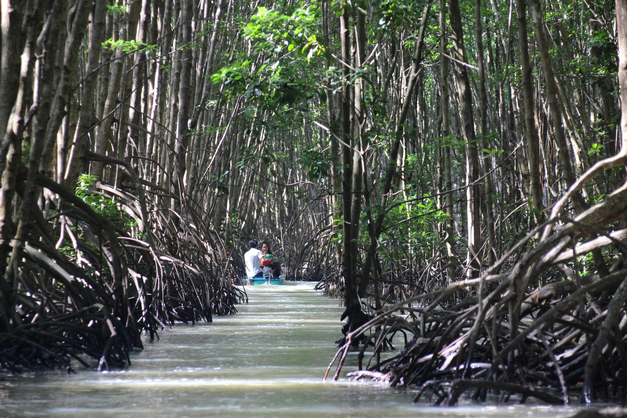 Về C&agrave; Mau, du kh&aacute;ch sẽ &ldquo;hối hận&rdquo; nếu kh&ocirc;ng đến những điểm hấp dẫn n&agrave;y - Ảnh 14.