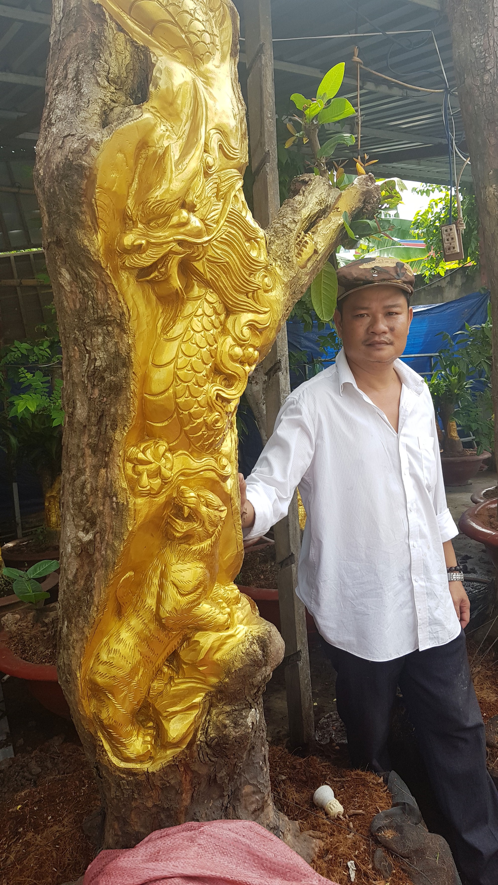 Hoa, kiểng tạo h&igrave;nh gi&aacute; khủng - Ảnh 1.