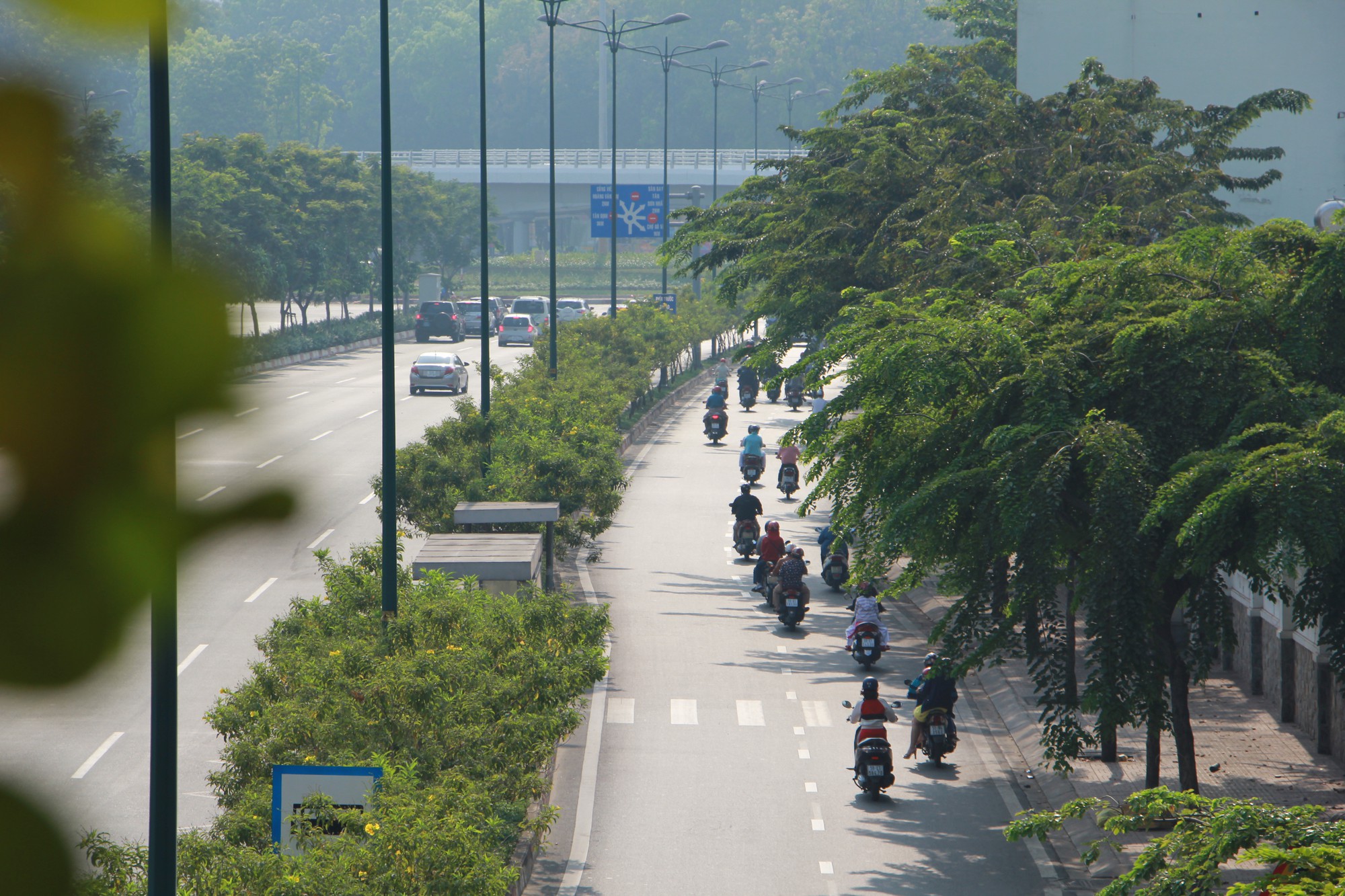 "Lạ thường" những ngày cuối năm se lạnh ở TP HCM