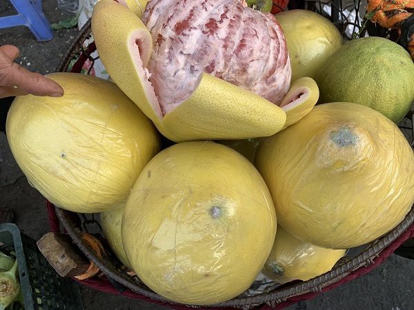 Bưởi Trung Quốc khổng lồ, vỏ v&agrave;ng b&oacute;ng tr&agrave;n về chợ Việt - Ảnh 1.