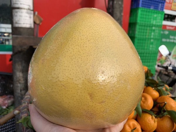 Bưởi Trung Quốc khổng lồ, vỏ vàng bóng tràn về chợ Việt