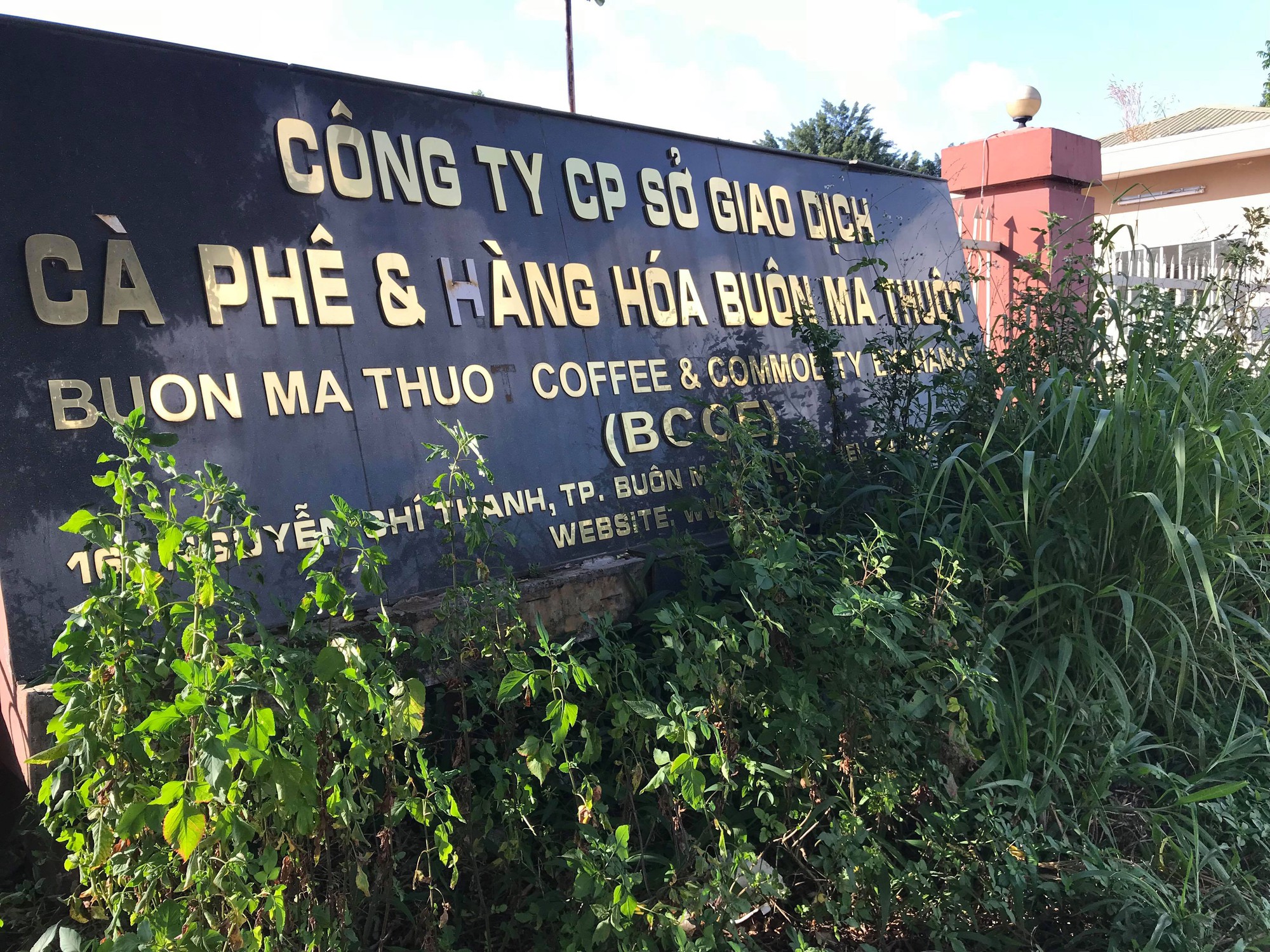 Đấu giá Sàn Giao dịch cà phê Buôn Ma Thuột