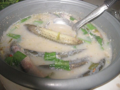 M&oacute;n ăn b&agrave;i thuốc trị bất lực, yếu sinh l&yacute; cho nam giới - Ảnh 10.