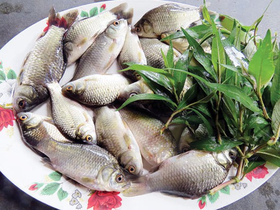 M&oacute;n ăn b&agrave;i thuốc trị bất lực, yếu sinh l&yacute; cho nam giới - Ảnh 12.