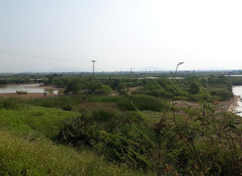 Khốn khổ vì dự án treo