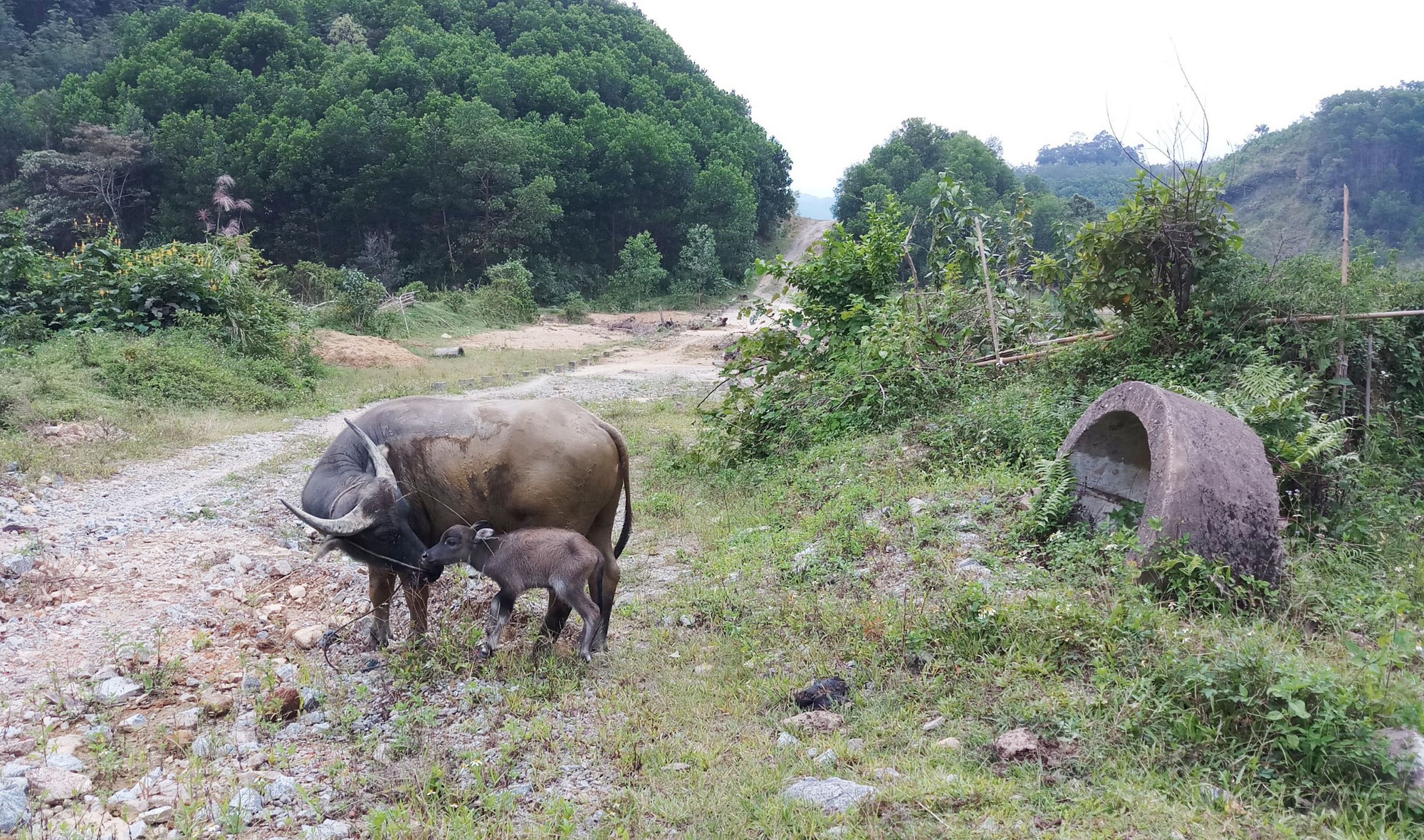 Hàng loạt cựu sĩ quan quân đội bị kỷ luật vì thực hiện dự án kém hiệu quả - Ảnh 3.