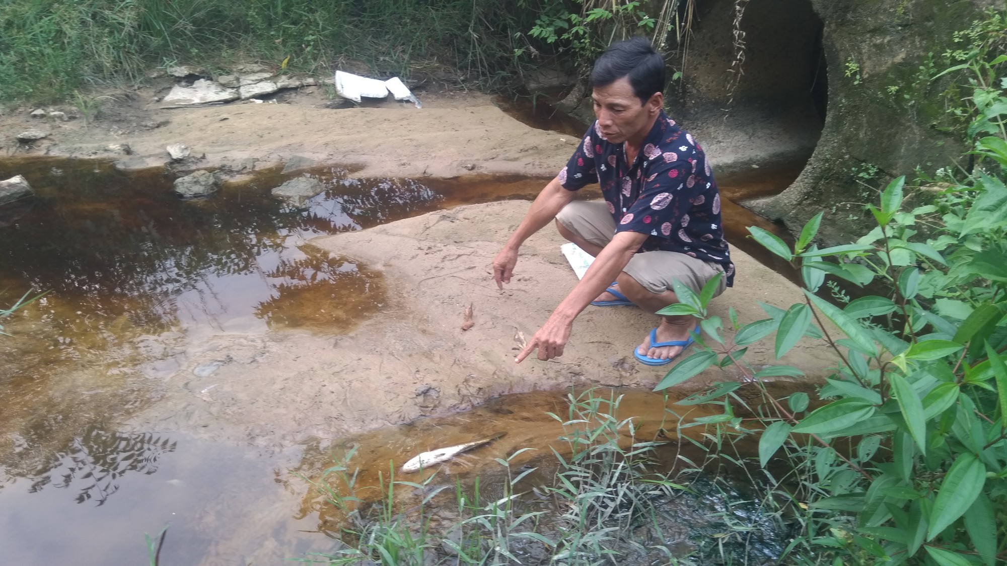 Lãnh đạo huyện Phú Quốc lên tiếng việc dân “tố” nhà máy rác xả nước thải ra biển - Ảnh 2.