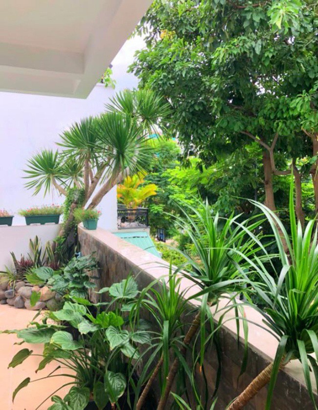 Ngắm biệt thự 21 tỷ của vợ chồng MC Quyền Linh - Ảnh 14.
