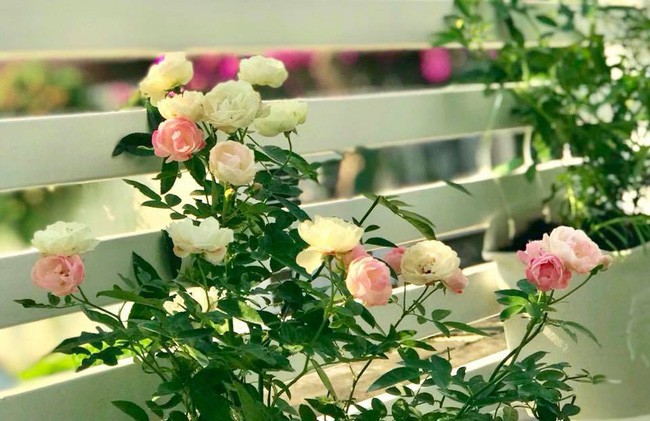 Ngắm biệt thự 21 tỷ của vợ chồng MC Quyền Linh - Ảnh 29.