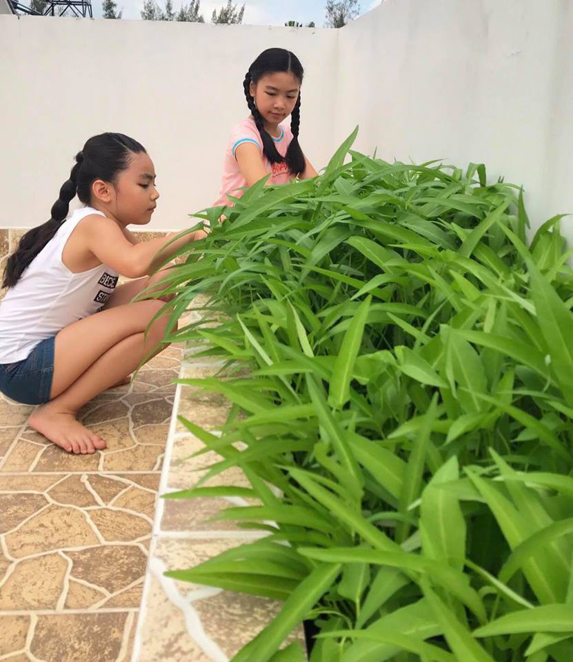 Ngắm biệt thự 21 tỷ của vợ chồng MC Quyền Linh - Ảnh 9.