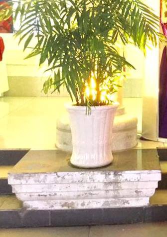 Hiểm họa từ tầng cao