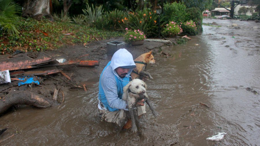 M&oacute;c b&ugrave;n khỏi miệng, cứu b&eacute; g&aacute;i tho&aacute;t chết trong sạt lở California - Ảnh 5.