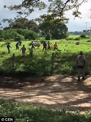 Venezuela: Người d&acirc;n n&eacute;m chết gia s&uacute;c để lấy c&aacute;i ăn - Ảnh 1.