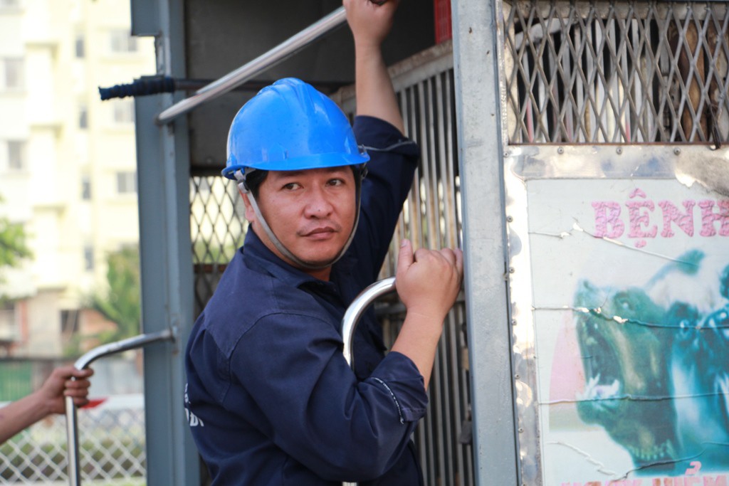 Biệt đội săn ch&oacute; thả r&ocirc;ng ở S&agrave;i th&agrave;nh - Ảnh 8.