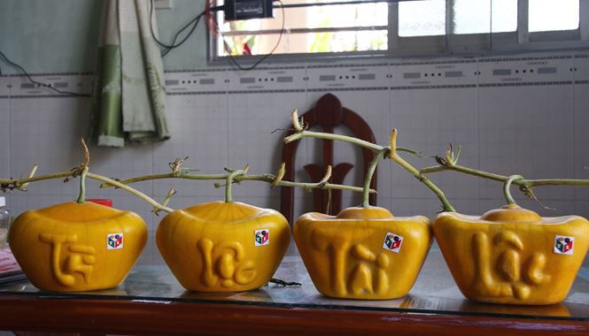 3,5 triệu đồng một trái dưa hấu thỏi vàng chưng Tết - Ảnh 2.