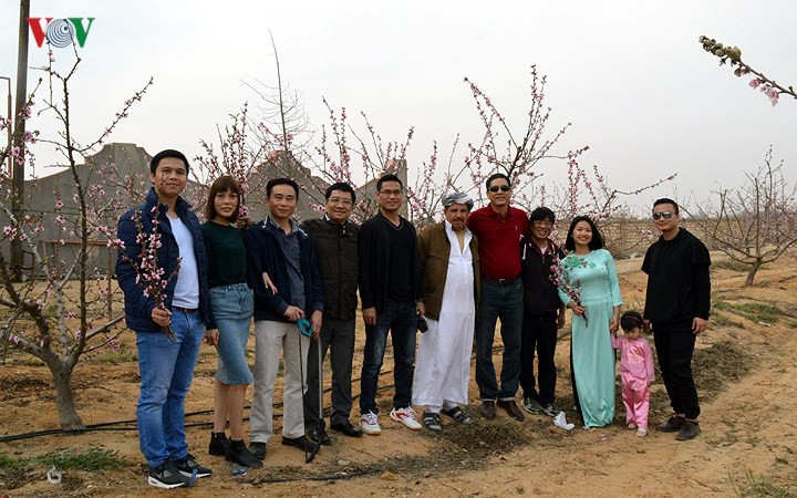 Sắc đ&agrave;o tr&ecirc;n sa mạc Sahara - Ảnh 8.