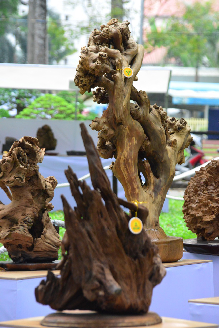 Hội Hoa Xuân TP HCM 2018: Ngất ngây trước kỳ hoa dị thảo - Ảnh 20.