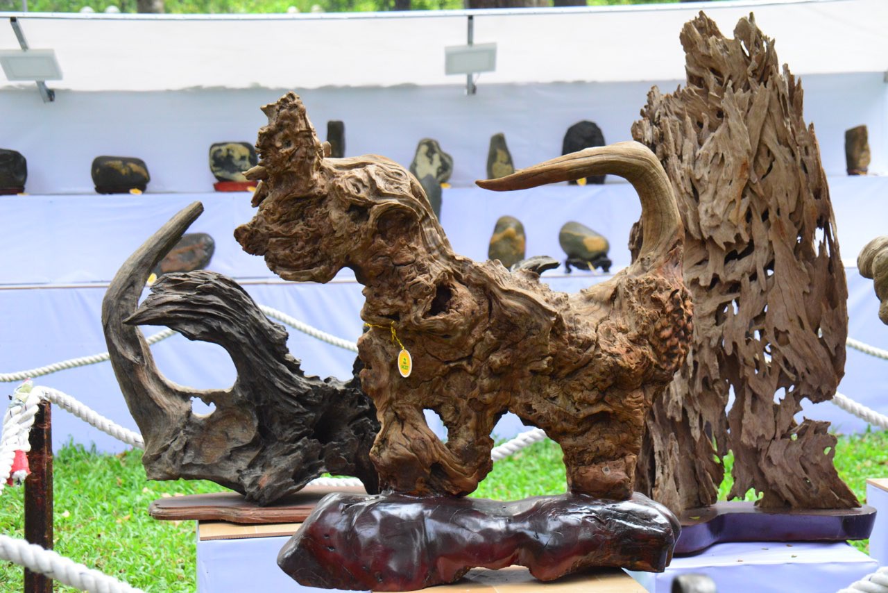 Hội Hoa Xuân TP HCM 2018: Ngất ngây trước kỳ hoa dị thảo - Ảnh 19.