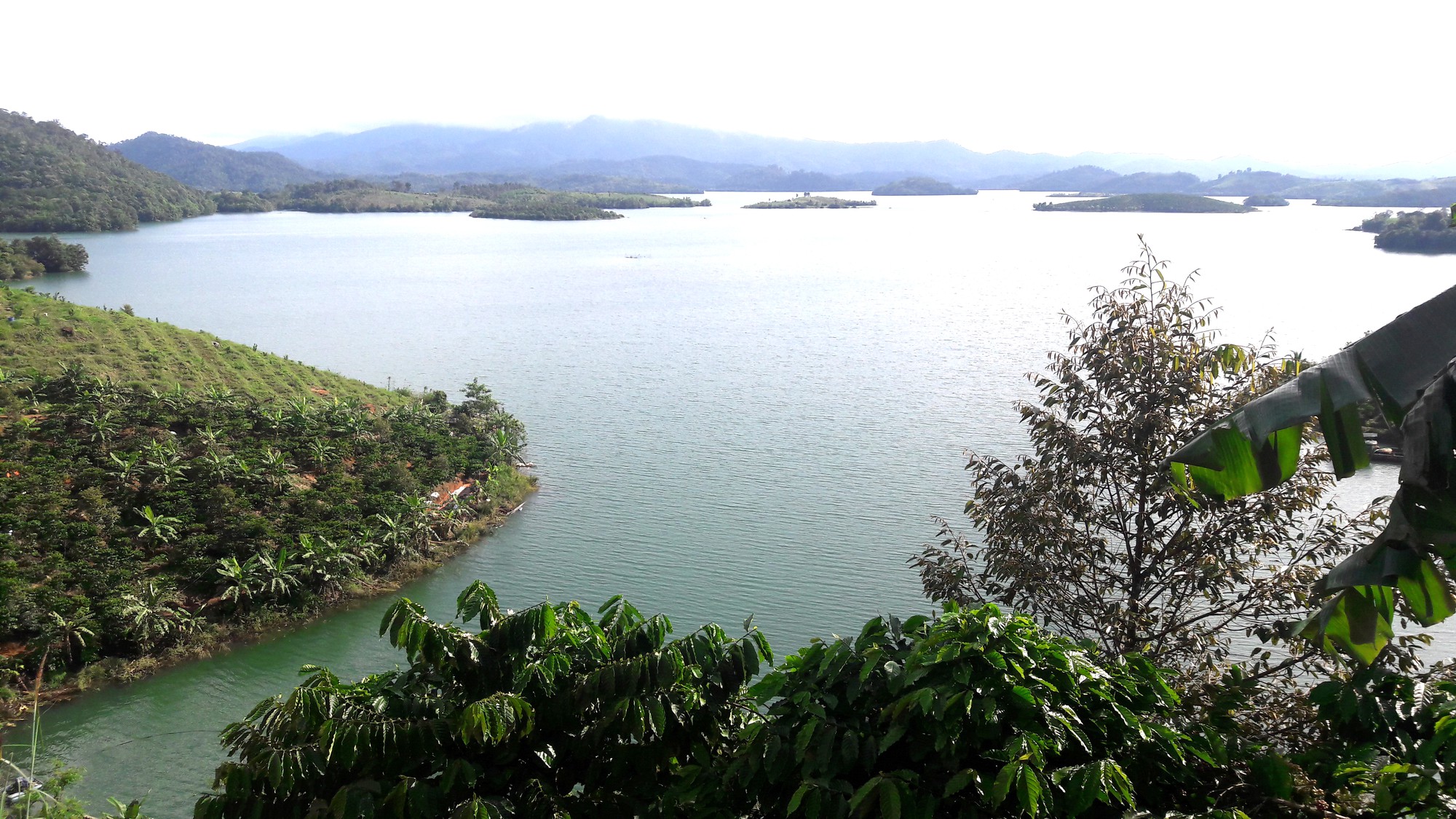 Tết kh&ocirc;ng qu&ecirc; hương - Ảnh 1.