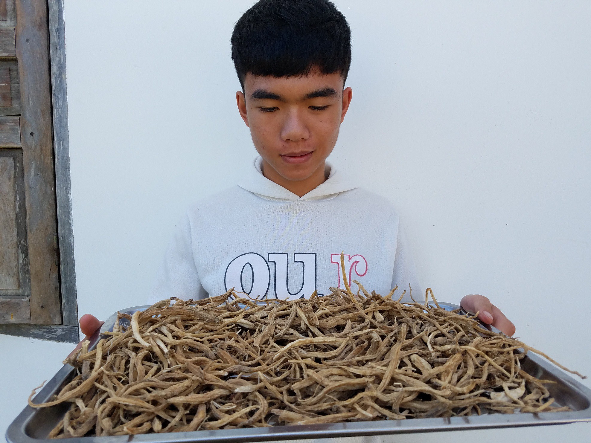 Về với xứ sở sâm dây - Ảnh 4.