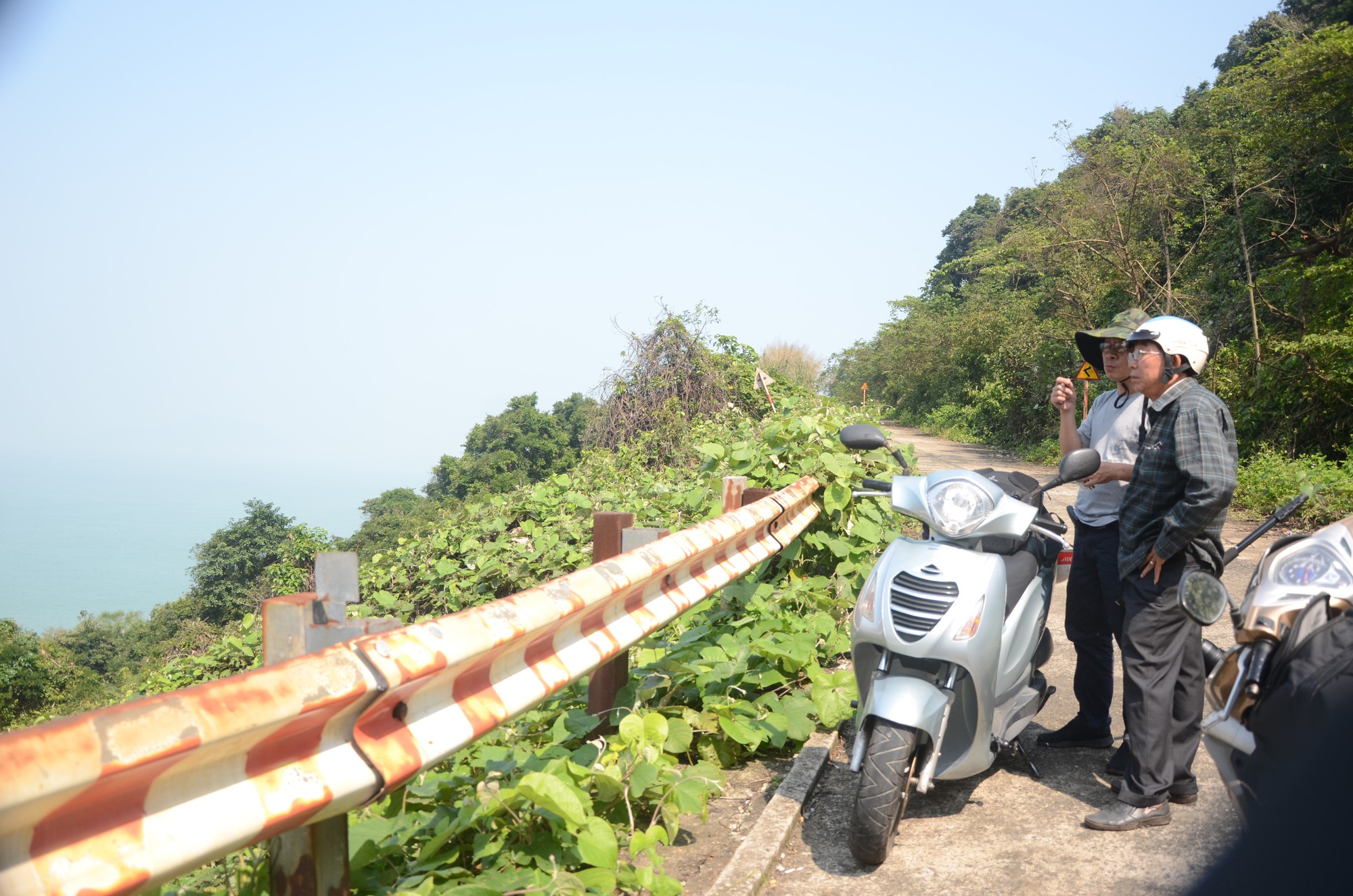Ngắm nữ ho&agrave;ng linh trưởng tr&ecirc;n b&aacute;n đảo Sơn Tr&agrave; - Ảnh 3.