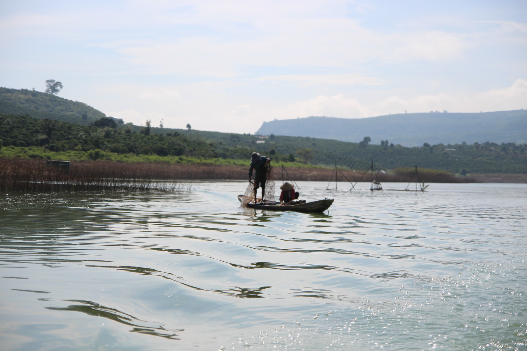 Tết không quê hương