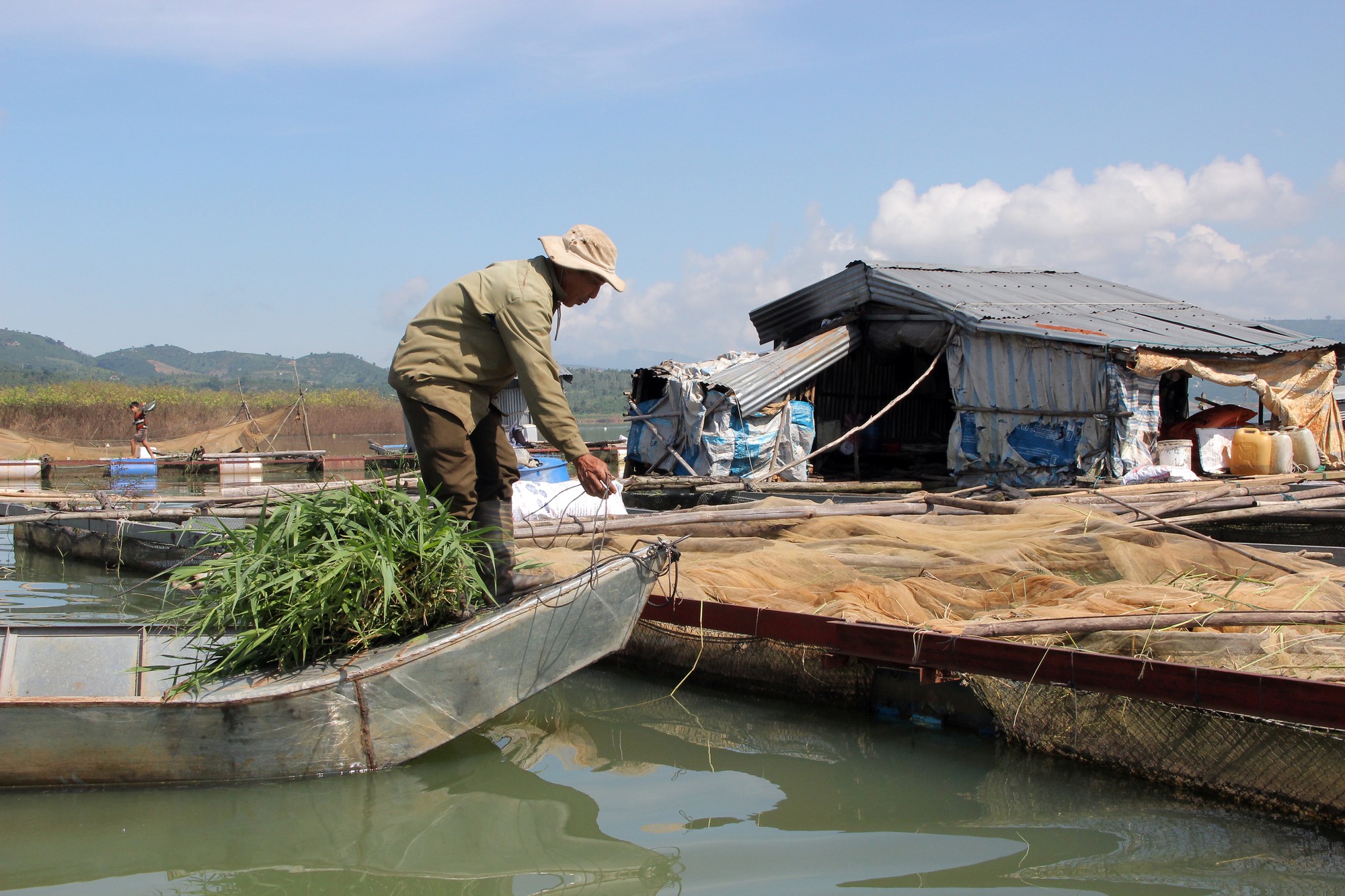 Tết kh&ocirc;ng qu&ecirc; hương - Ảnh 4.