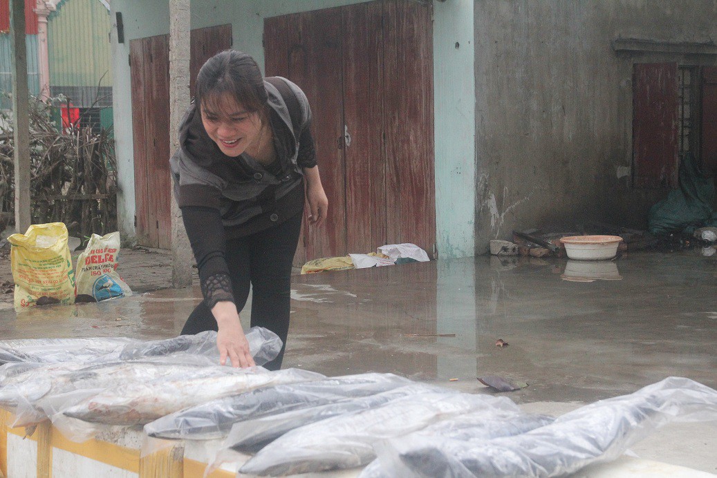 Ngư dân trúng đậm cá thu vào những ngày giáp Tết Mậu Tuất