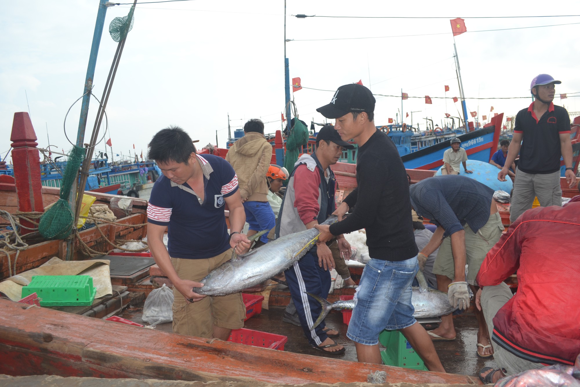 Bội thu m&ugrave;a c&aacute; cuối năm tại ngư trường Ho&agrave;ng Sa - Ảnh 4.