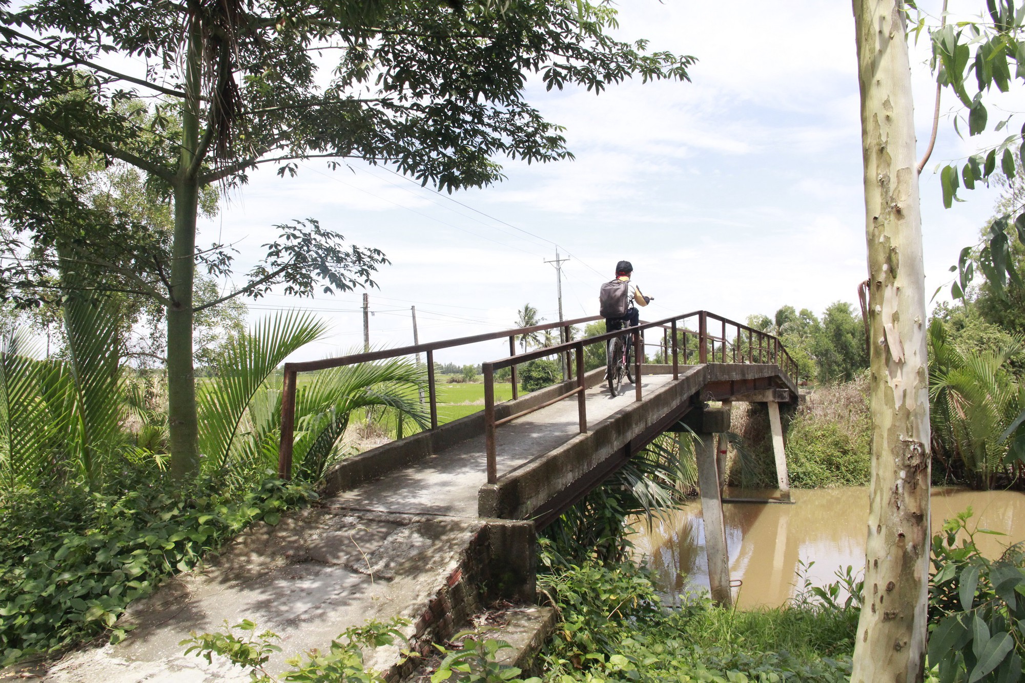 Tân Hiệp Phát khánh thành cầu, đem Tết về U Minh Thượng và Đất mũi Cà Mau - Ảnh 1.