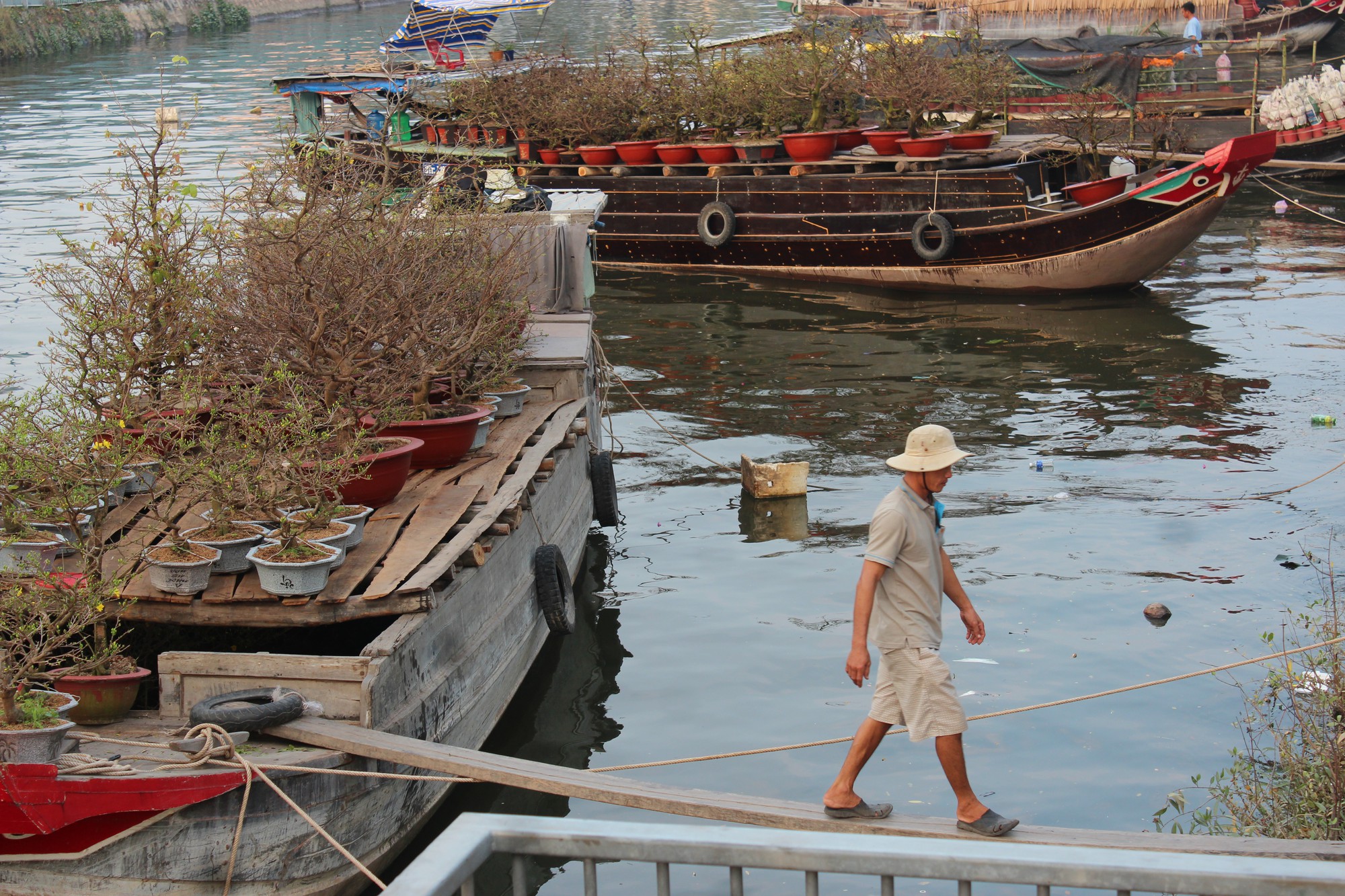 Chiều nay Xuân về