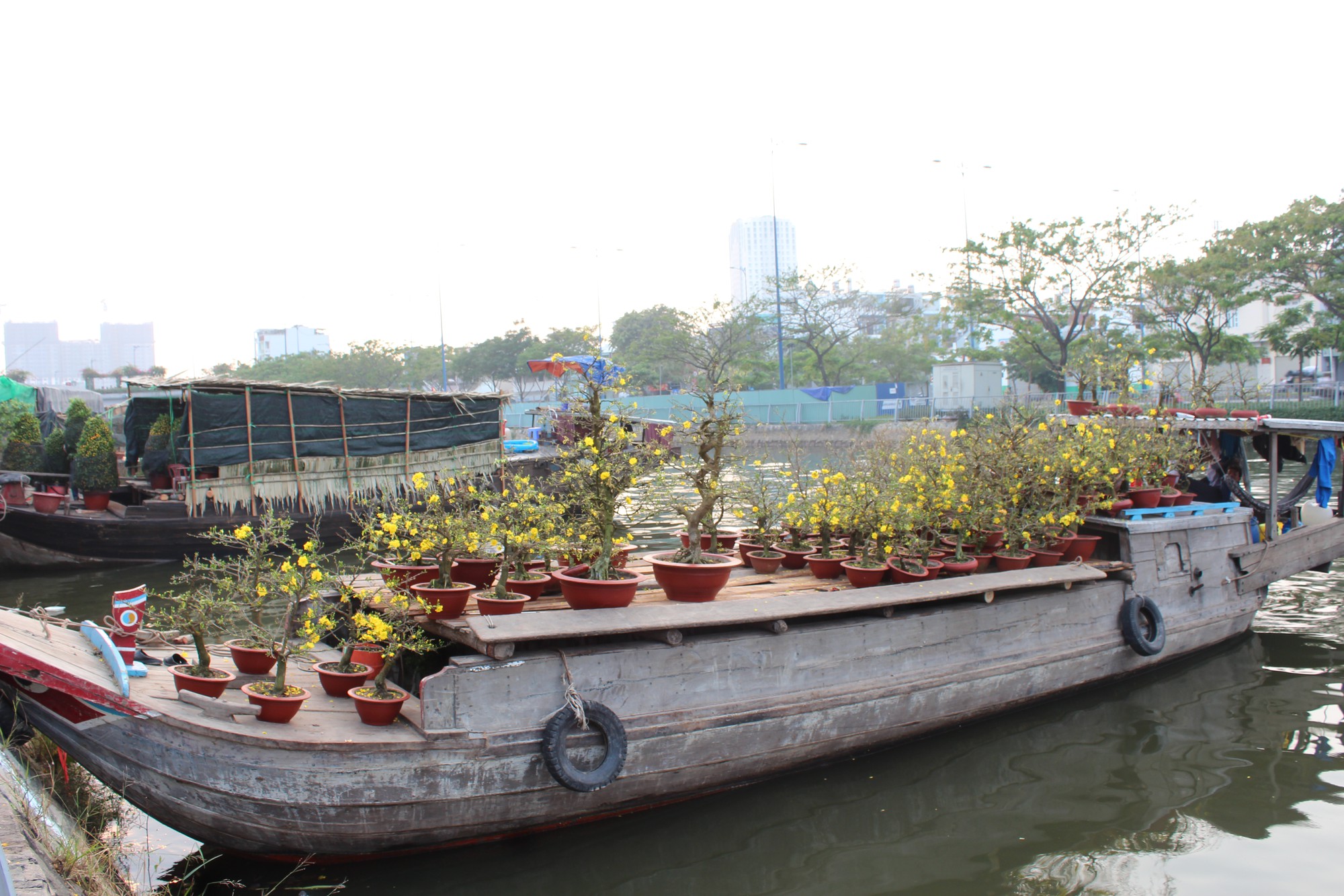 Nhấm nháp Tết trên bến Bình Đông - Ảnh 5.