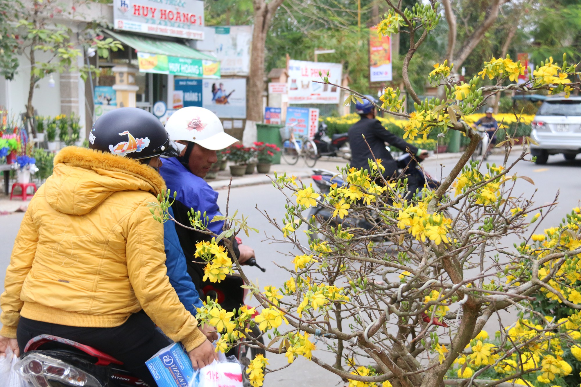 Hội An nhộn nhịp ngày giáp Tết - Ảnh 14.