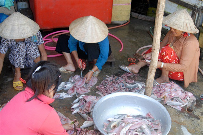 Sướng mắt với cảnh t&aacute;t đ&igrave;a mỏi tay bắt c&aacute; ăn Tết - Ảnh 15.